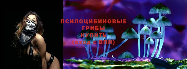МДМА Горняк