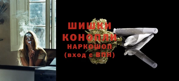 гидропоника Горнозаводск