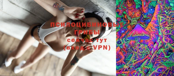 МДМА Горняк