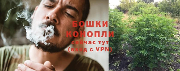 гидропоника Горнозаводск