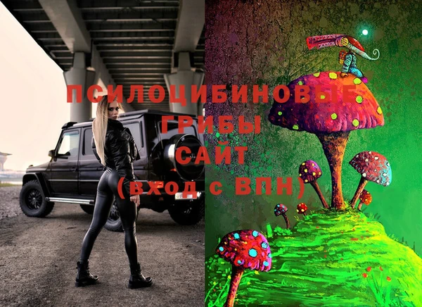 МДМА Горняк