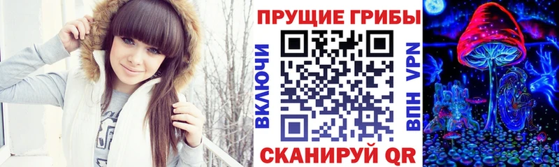 Псилоцибиновые грибы Psilocybe  Купить закладки  Жердевка 